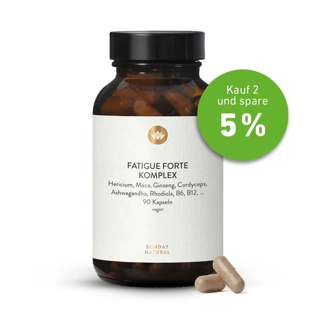 Fatigue Forte Komplex 90 Kps.