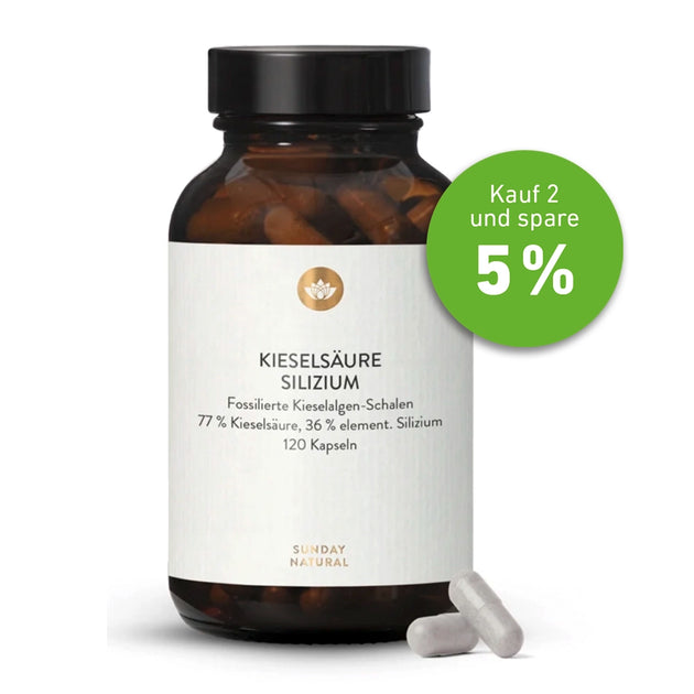 Silizium/Kieselsäure 350 mg 120 Kps.