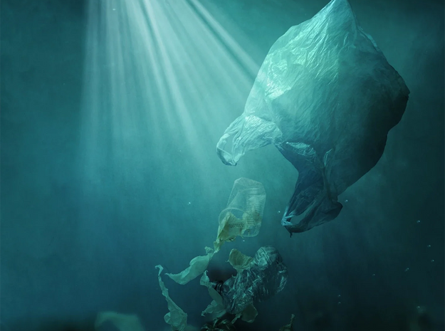 Unser negativer Einfluss auf die Umwelt - und was Sie dagegen tun können