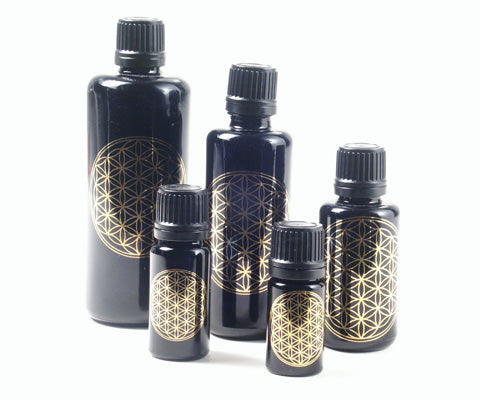 Violet glass bottle 10 ml LB