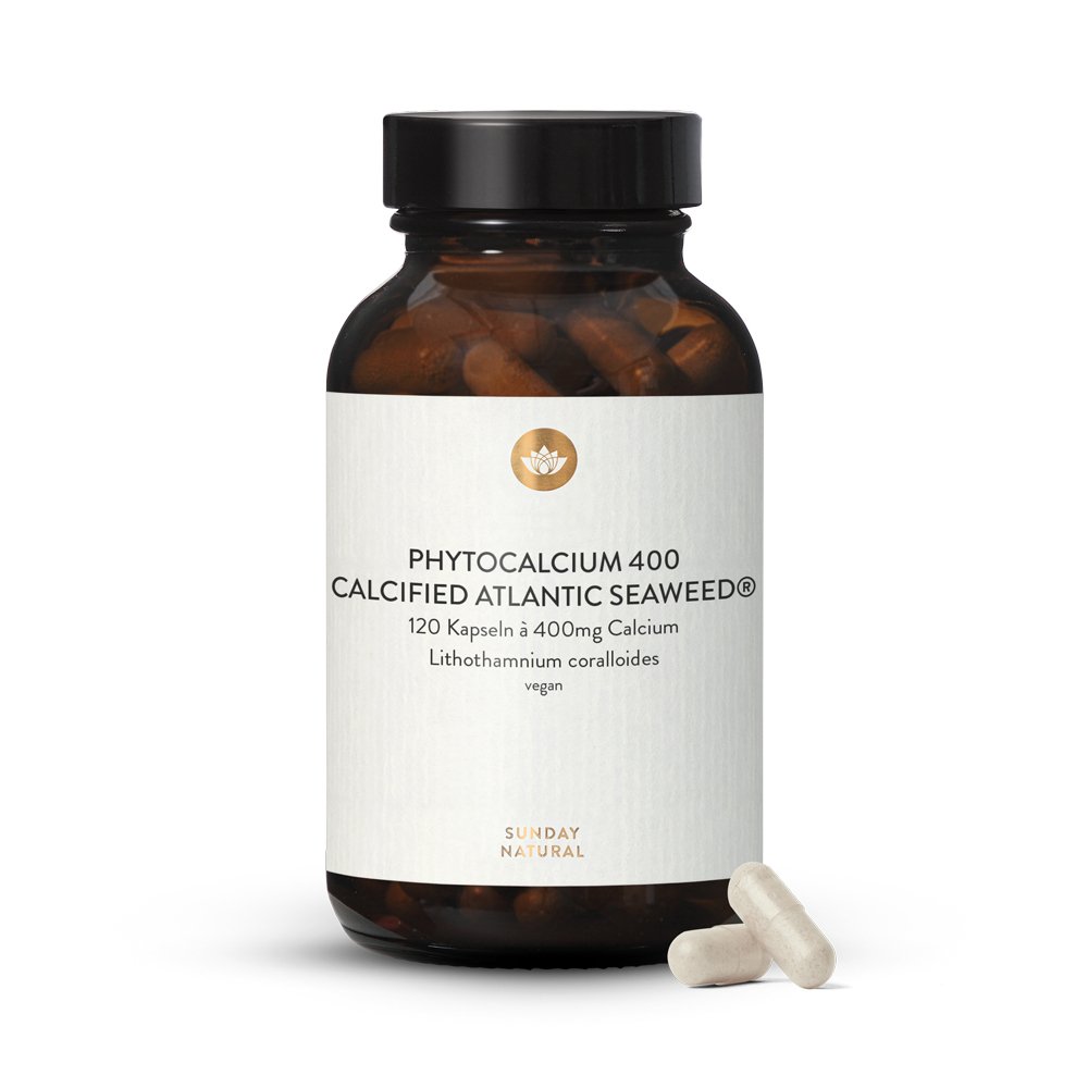 Phytocalcium 400 120 Kps.