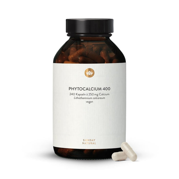 Phytocalcium 400  240 Kps.