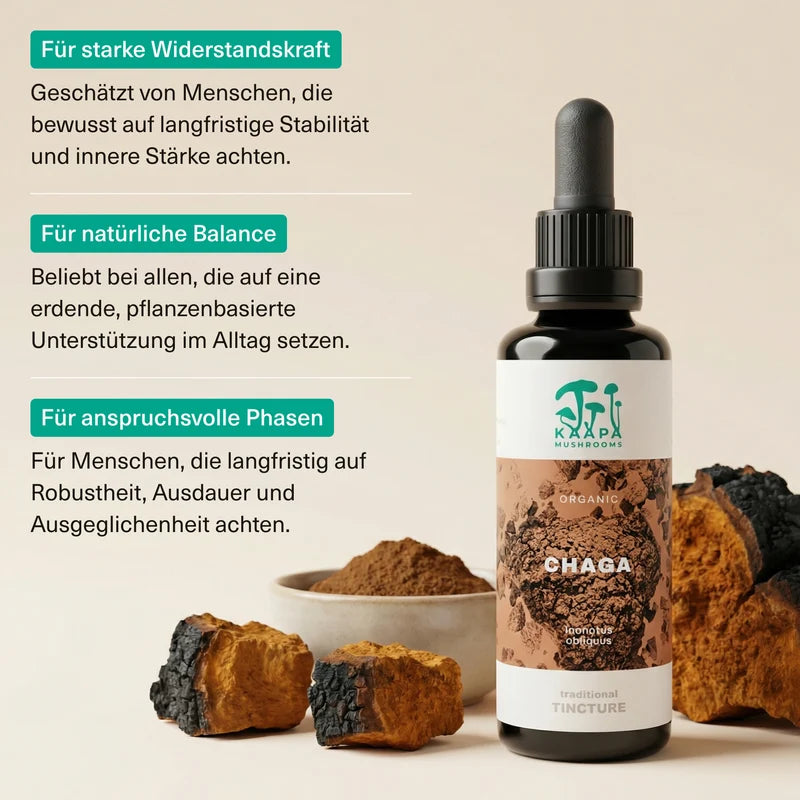 Chaga Tinktur 50 ml