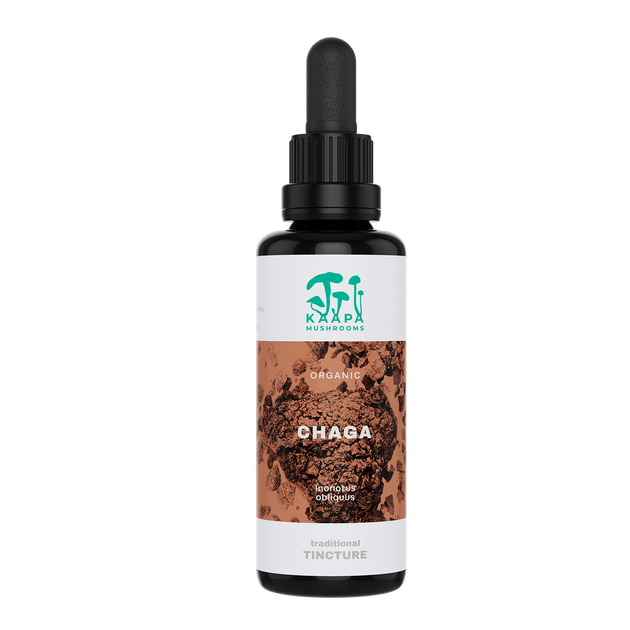 Chaga Tinktur 50 ml