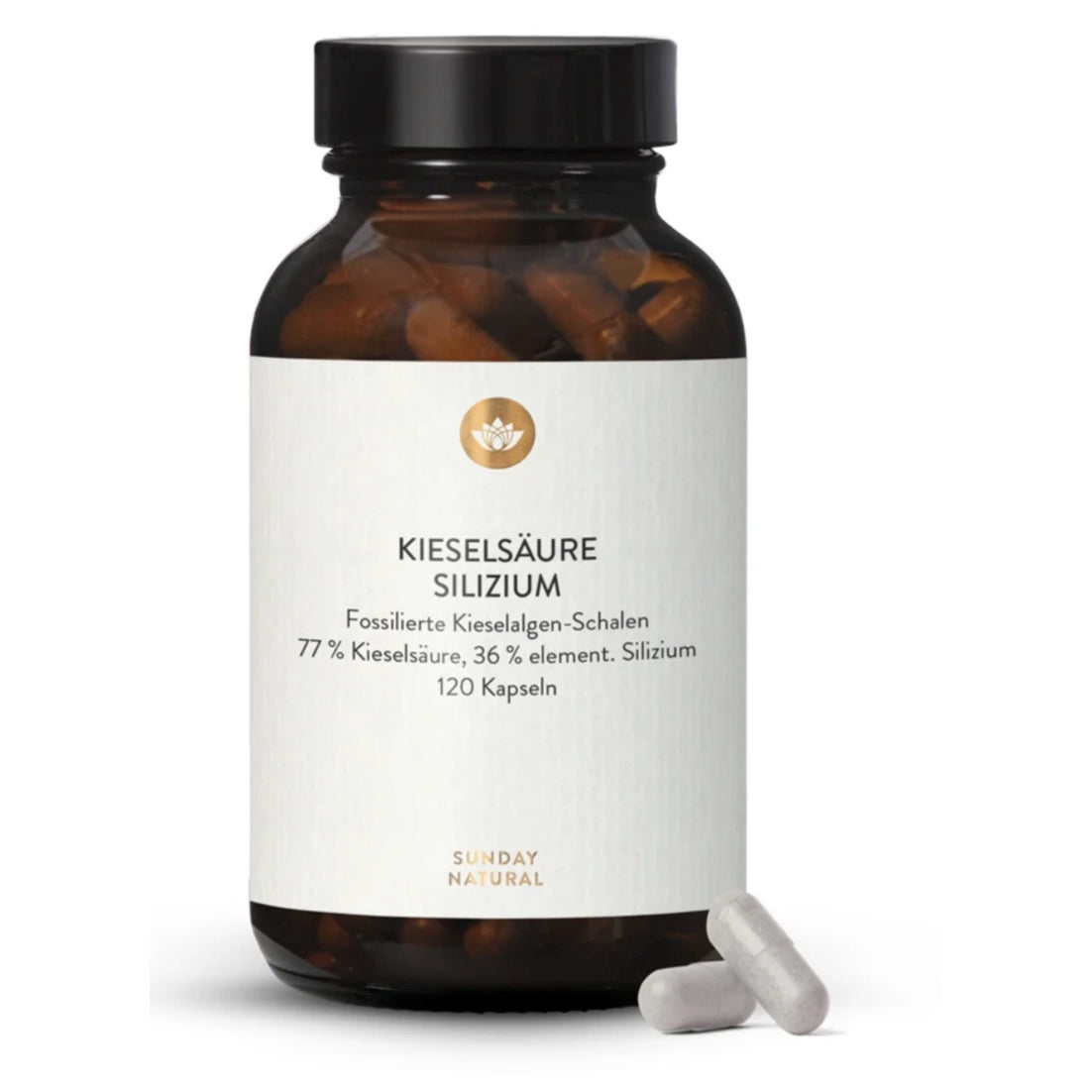 Silicium/silice 350 mg 120 gélules.