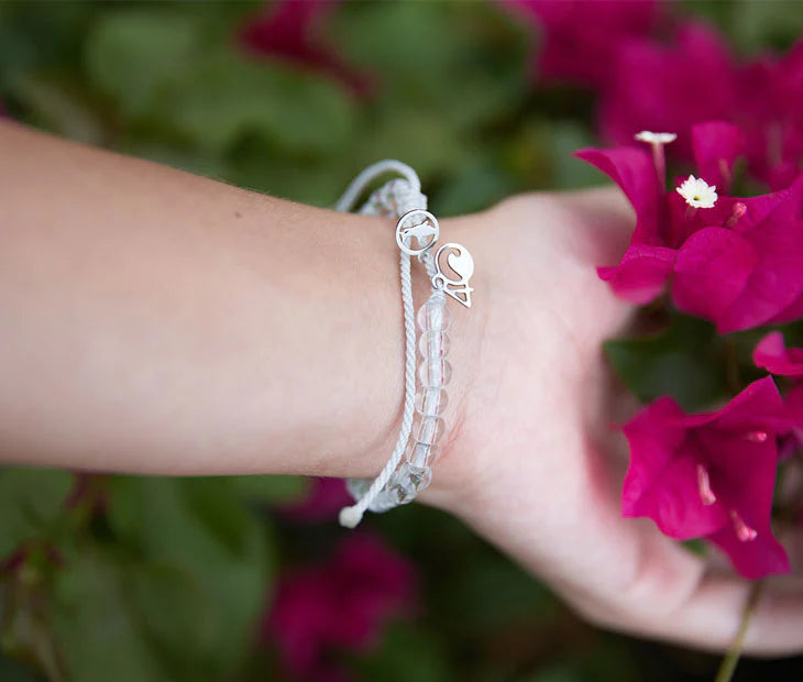 4Ocean Bracelet Tiger Shark