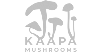 Kääpä Mushrooms